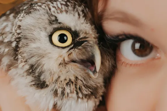 ΒεγαςΓουιλντ Καζίνο Υποστηριξη